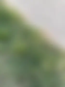 Black-mamba-madingo Show Webcam