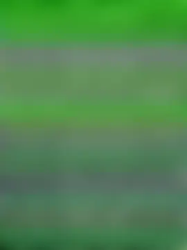 Lisaxtra: вебкам-шоу