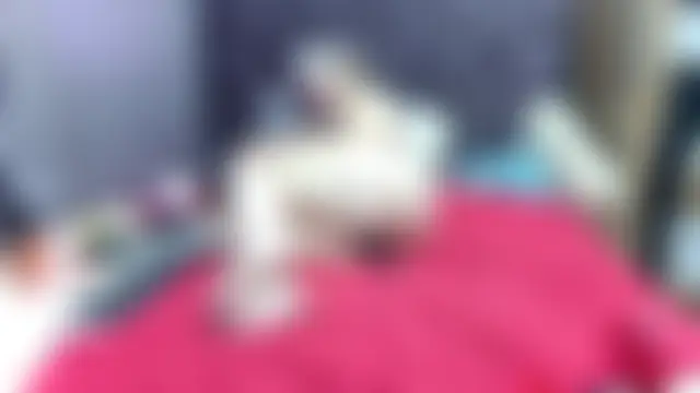 NonaDiamond's Webcam Show