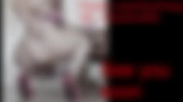 Show Webcam de BigBootyAlice