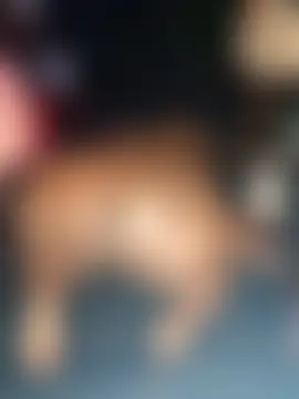 Show Webcam de Thickkemzz41