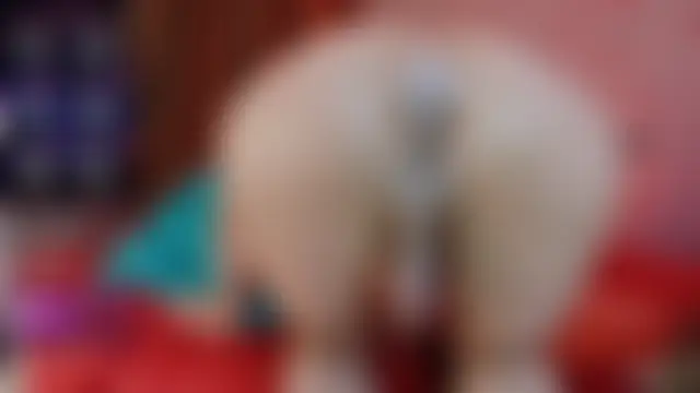 Show Webcam de Breidyhard