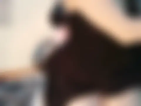 Bee_bee1 在線直播表演