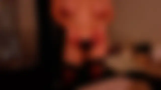 Вебкам-шоу evafolver