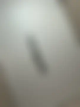 Bilik Sembang Langsung bonnie_boobies