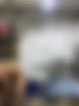 ikaro21のライブチャットルーム