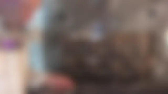 Pokazy przed seks kamerką na żywo – Manson_and_Zoe