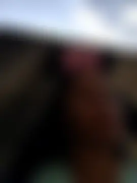 Laura20lopez Live Sex Cam Show