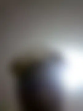 TurnerBBC1 – webcam-show