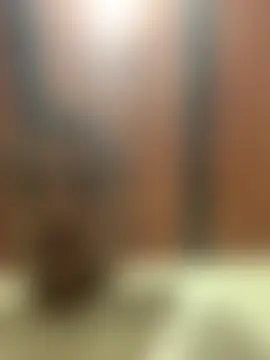 Pokazy przed kamerką – mondacuo3000