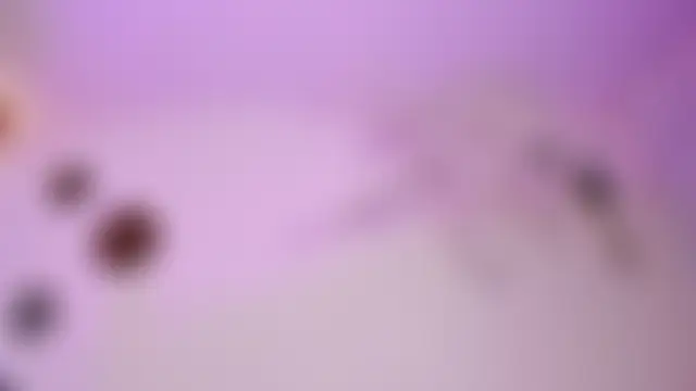 charlotte_mitchell_'s Live XXX Chat