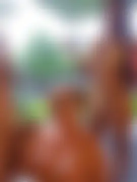 anita1976 webcam show