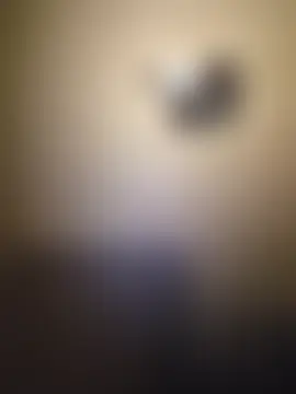 yola181's Live XXX Chat