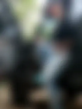 PIGHIGHDIRTY_p0n Live chat-huone