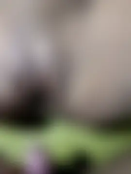 Jija_sali_ Live Sex Cam-Show