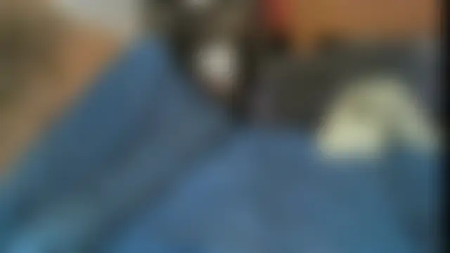 Will_bzzz – Naživo chatovacia miestnosť