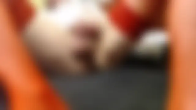 Butje058 Live Sex Cam-Show