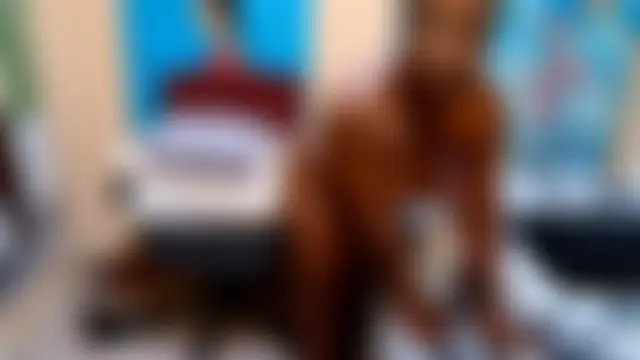 Brunettedevon33 – live sex-cam-show