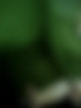 samlord261 Ruang Obrolan Langsung