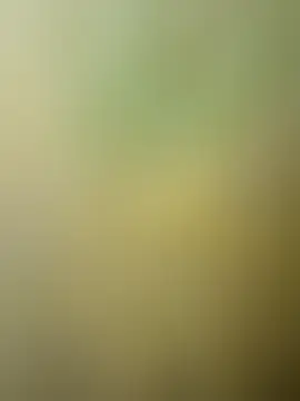 rmp292 Ruang Obrolan Langsung