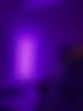 Show webcam de elliepixie