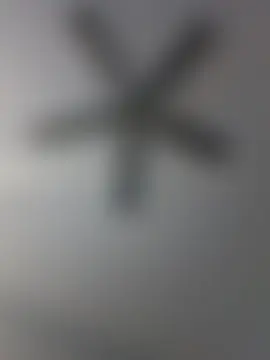 Dunkas69 现场聊天室