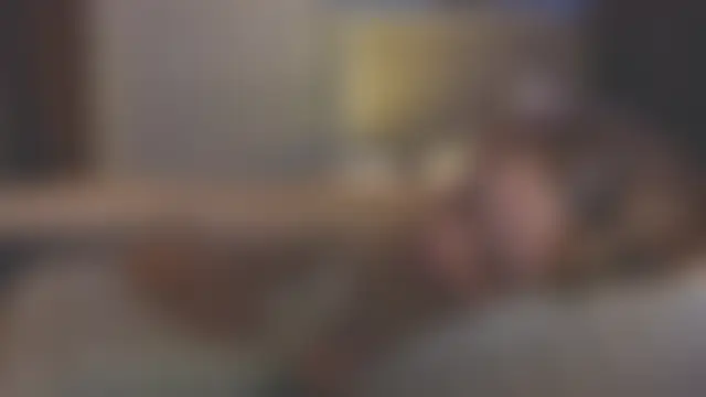 sinteas: онлайн-чат