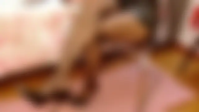 Sala de chat ao vivo de Valentina-Ferrer