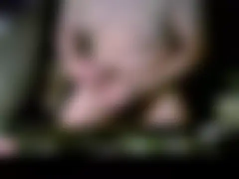 Show de sexo ao vivo de vicjk3