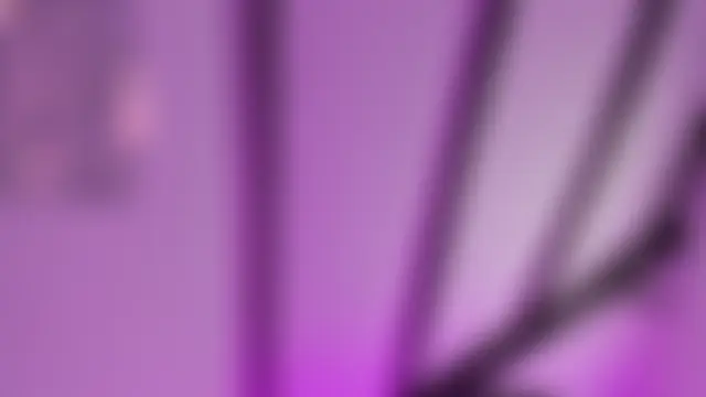 Abbyevaans: онлайн-чат