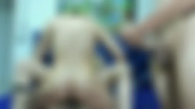 CamilaGirlAndTwoBoy Live seks camshow