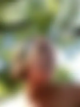 Public_Katrishan Webbikameraesitys