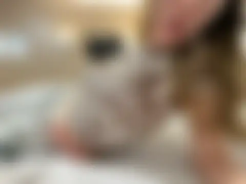 غرفة دردشة Margo2 المباشرة