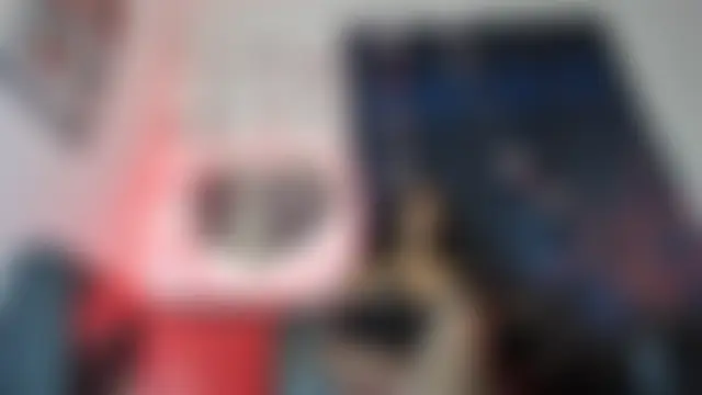 winderling Show Webcam