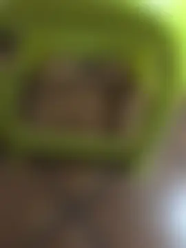 Pancho2213: απευθείας σέξι σόου στην κάμερα