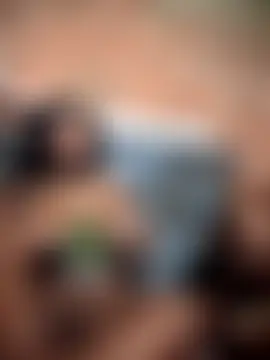 laDM22: απευθείας σέξι σόου στην κάμερα