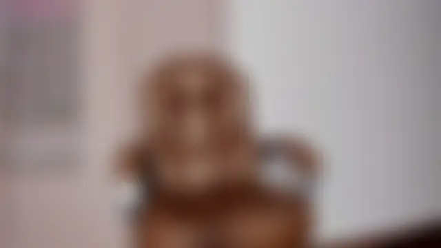 Emir_Ozan_ Live chatroom