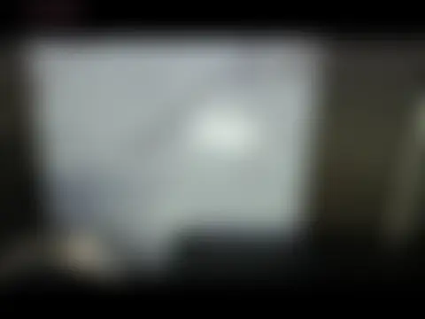 DaviidBuckx_ Pertunjukan Kamera Seks Langsung