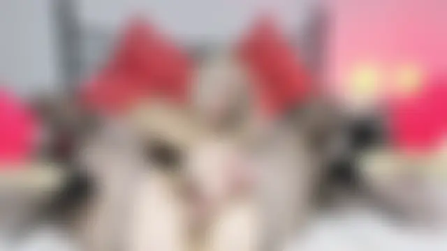 helenamoellern Live chat-huone