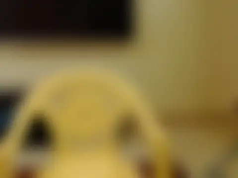 Chat XXX en directo de sunnylovexp