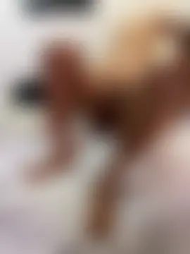 Couple_lat1n: δωμάτιο απευθείας συνομιλίας