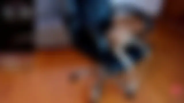 Sala de chat ao vivo de IsabellaaJoness