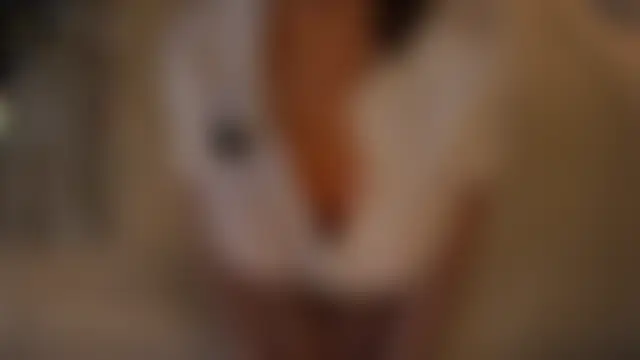 Sala de chat ao vivo de LuannStockbridge