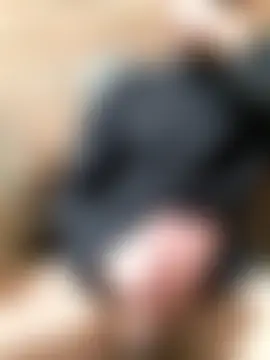 Hunkemollerman80 Live seks camshow