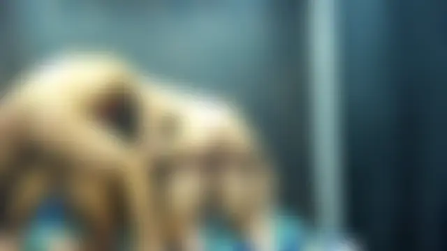 4SexFantastic লাইভ সেক্স ক্যাম শো