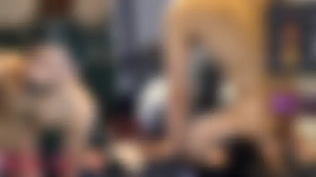 Toronto325 webkamerás műsora