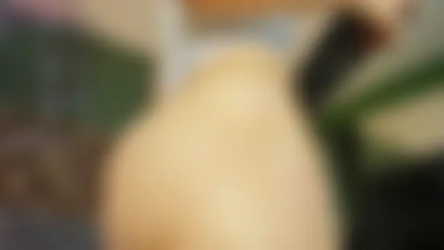 Kya_Wild Live Chatraum