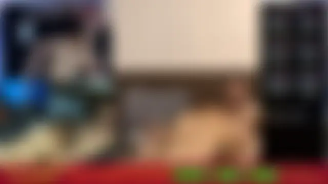 HouseOfHans 即時聊天室