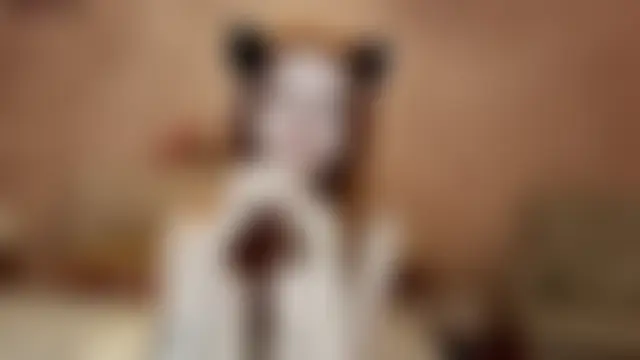 Pertunjukan Kamera Web TarynPalek