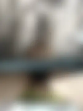 Chat ao vivo de sk8-boy